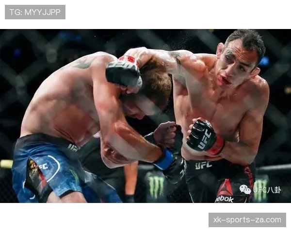 伊布与托尼：终结方式分化，单点爆破更集中