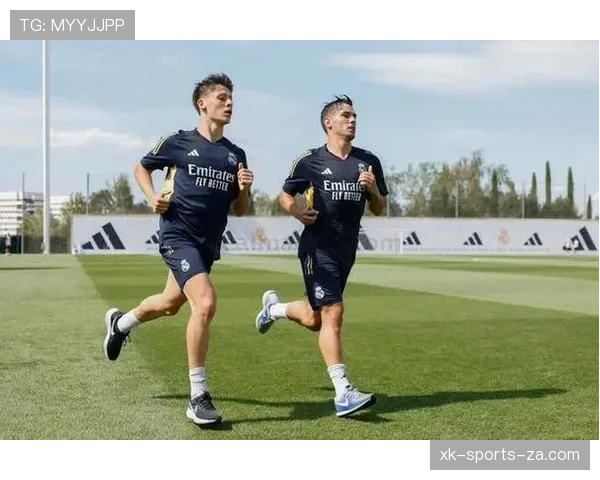 居莱尔对抗能力不足对赛场发挥与战术适配的影响分析